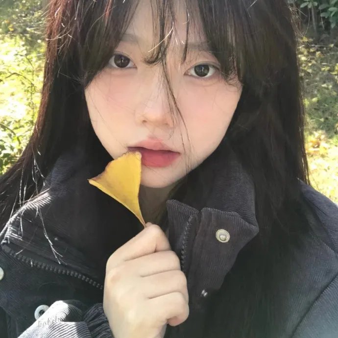 纽约影音实验室