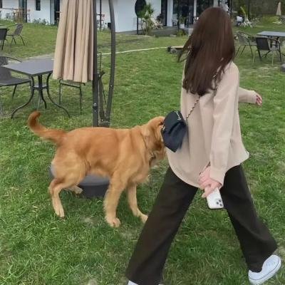 寻找奇迹水人