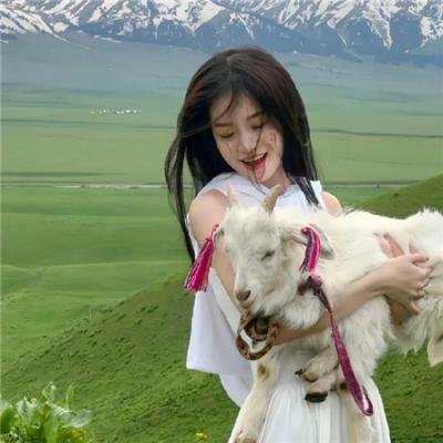 剧场版 秘密战队五连者