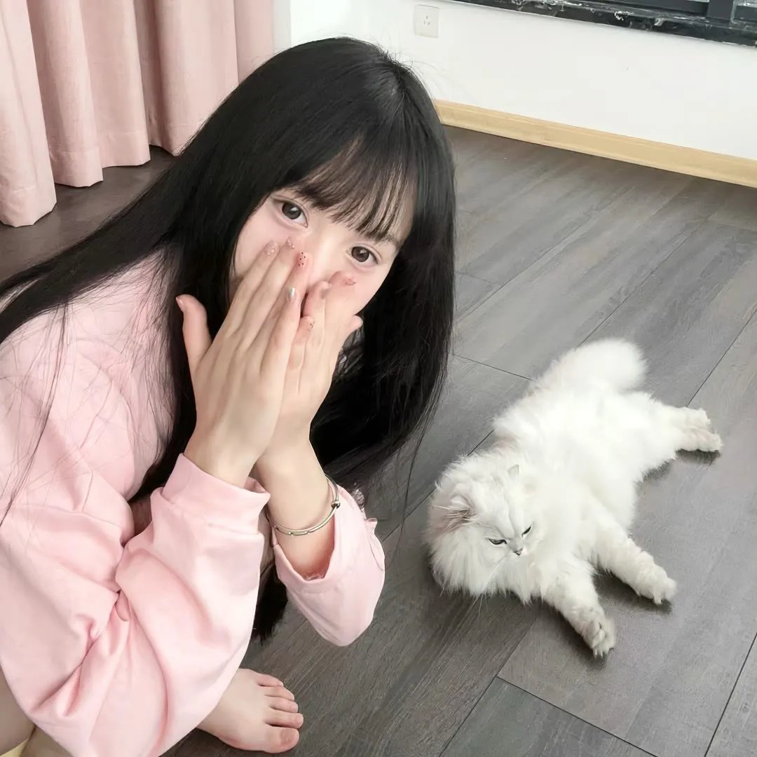 女王鲨