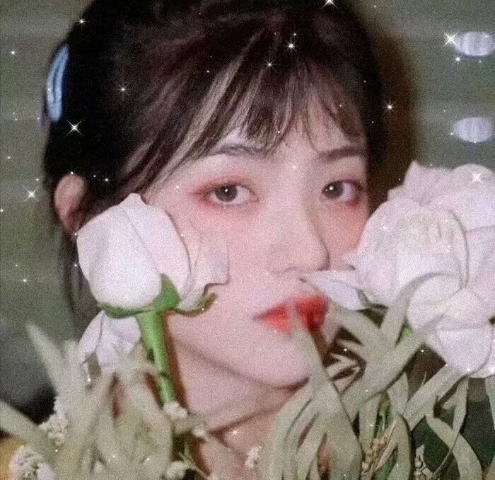 姐妹会的秘密